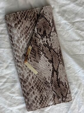 Aldo Snakeskin Clutch